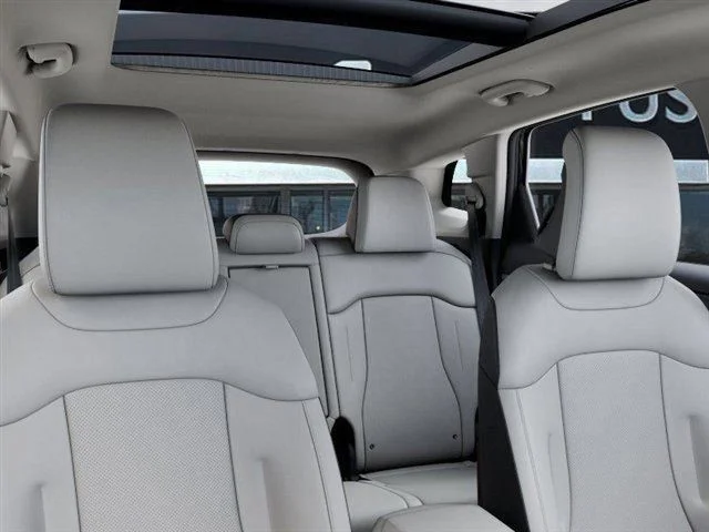 New 2026 Panthera Metal Gray Kia EX image 27