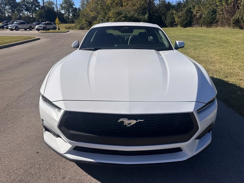 New 2026 Oxford White Ford EcoBoost® Premium Fastback image 2
