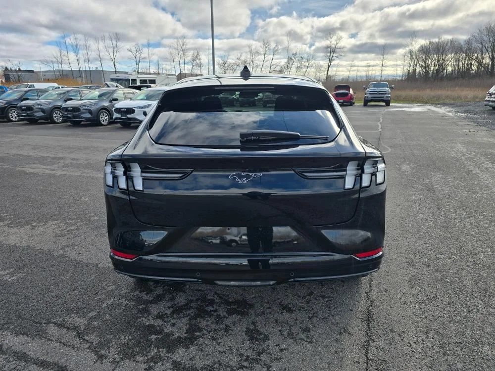 2025 Ford Mustang Mach-E Premium AWD - Photo 6