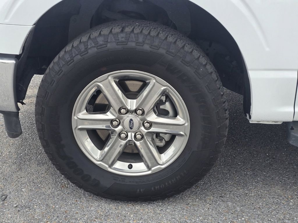 Used 2025 White Ford XLT image 9