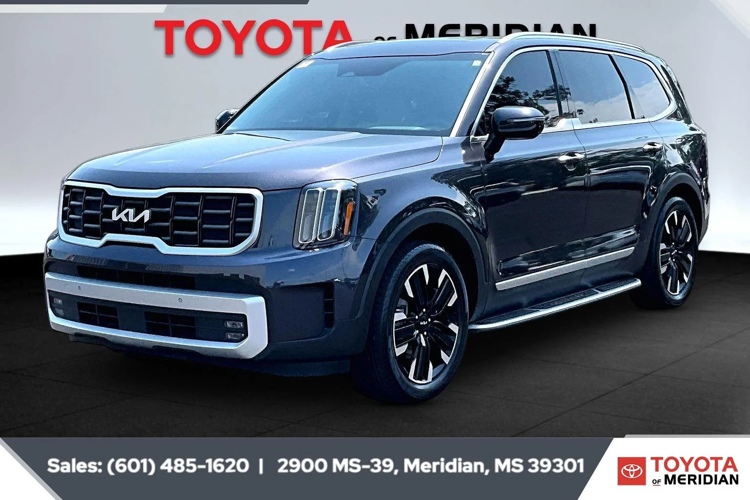 Used 2025 Panthera Metal Kia SX image 10