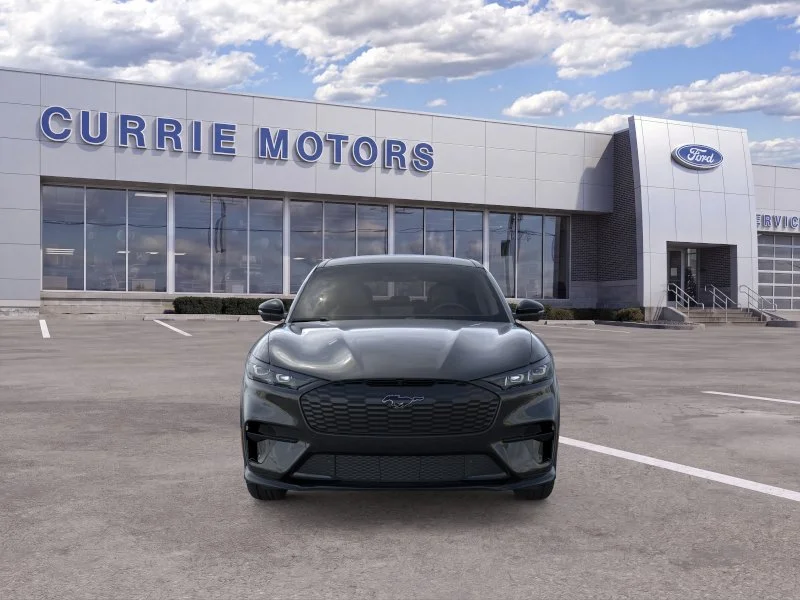 New 2026 Shadow Black Ford Premium image 6