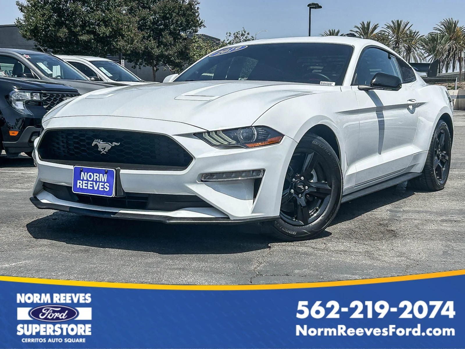 2019 Ford Mustang