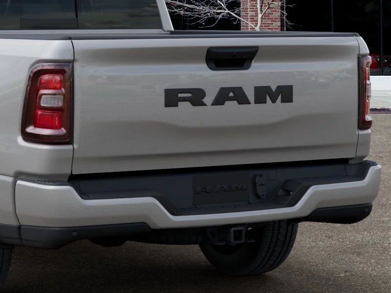 New 2026 Silver Zynith Exterior Paint RAM Express image 13