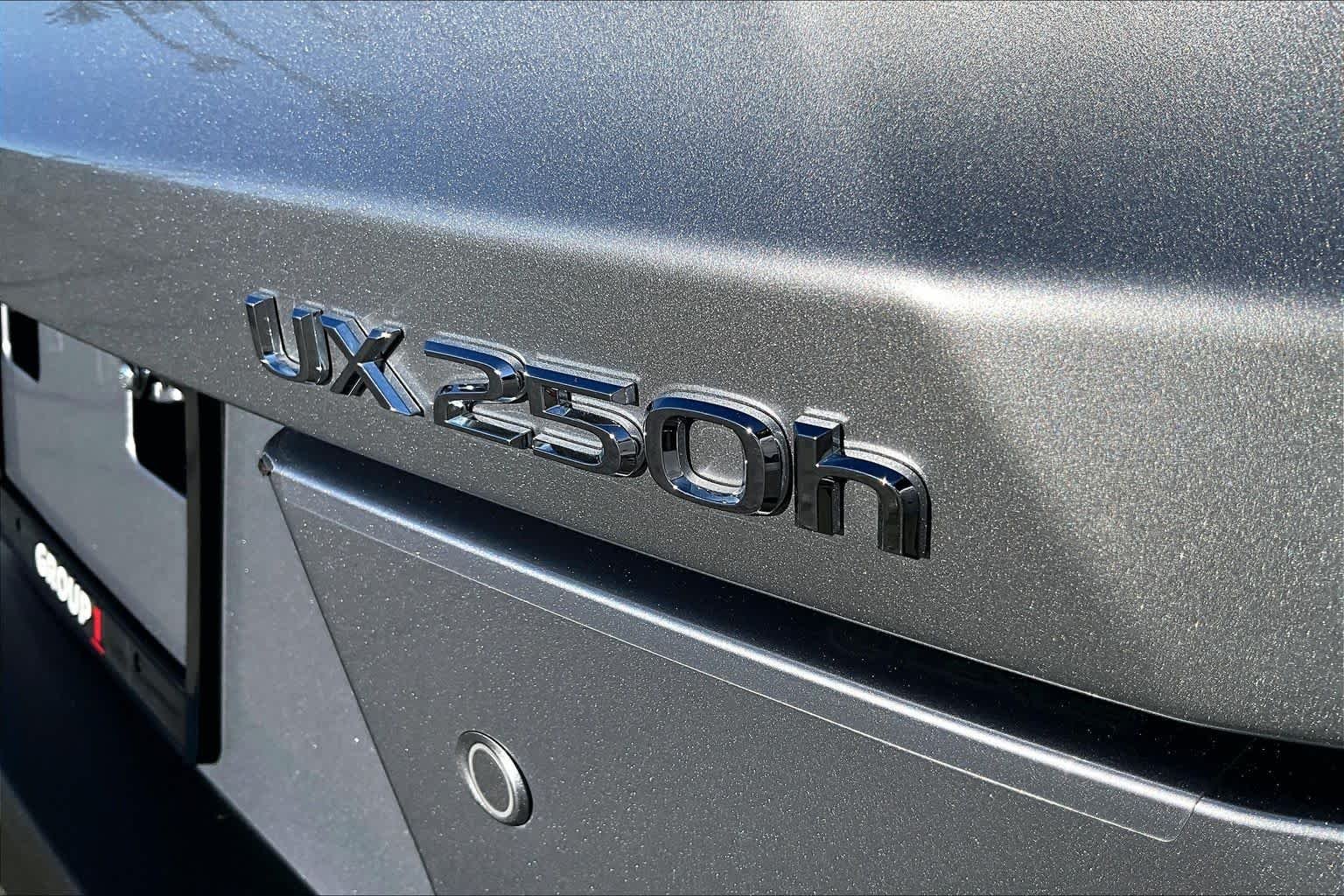 Certified Used 2024 IRIDIUM Lexus Premium image 9