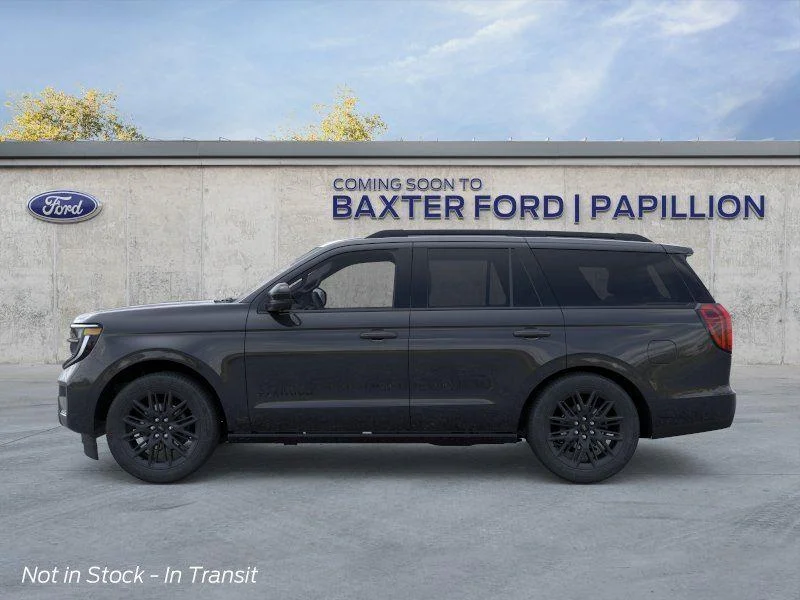 New 2026 Dark Matter Gray Metallic Ford Platinum image 19