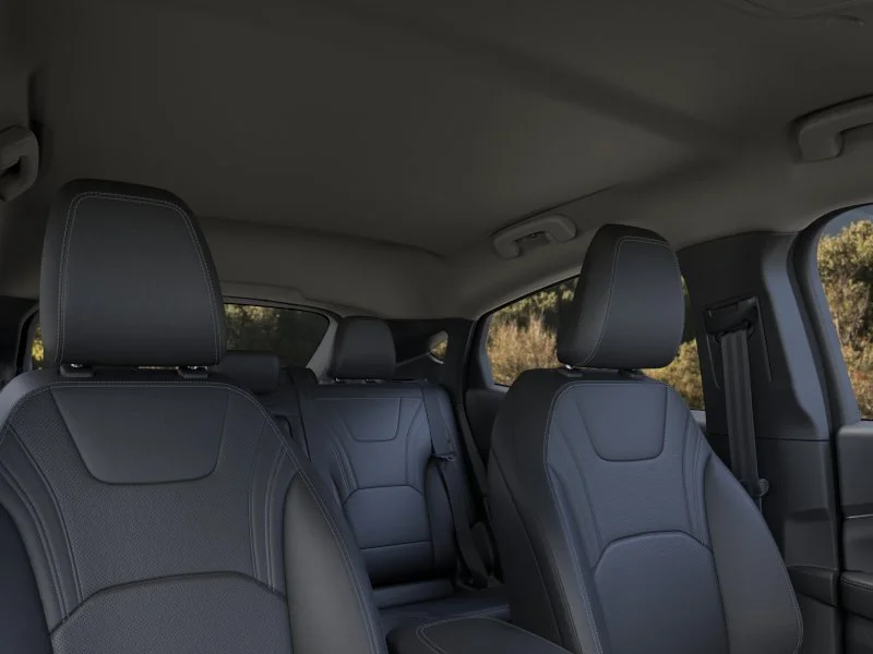 New 2026 Shadow Black Ford Premium image 22