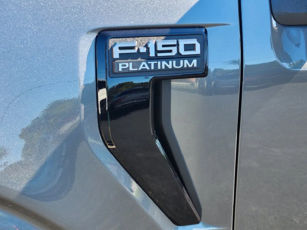 New 2026 Gray Ford Platinum image 25