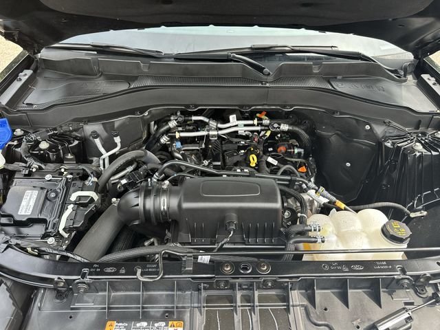 Used 2024 Black Ford XLT image 19