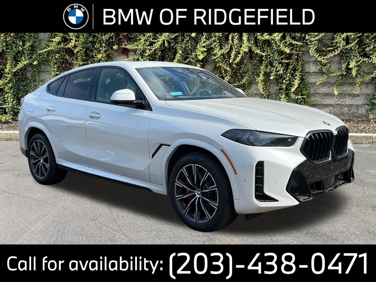 2026 BMW X6 xDrive40i's photo