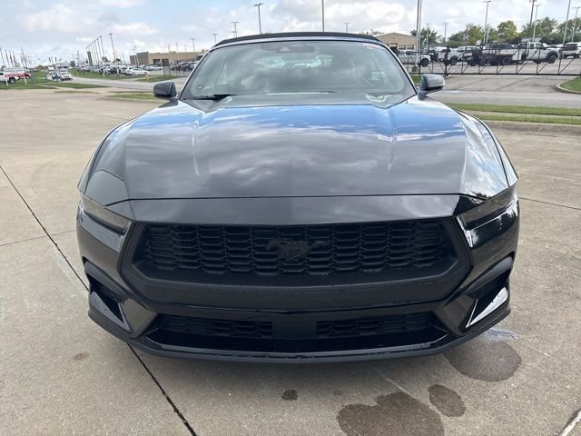 New 2025 Shadow Black Ford EcoBoost Premium image 4