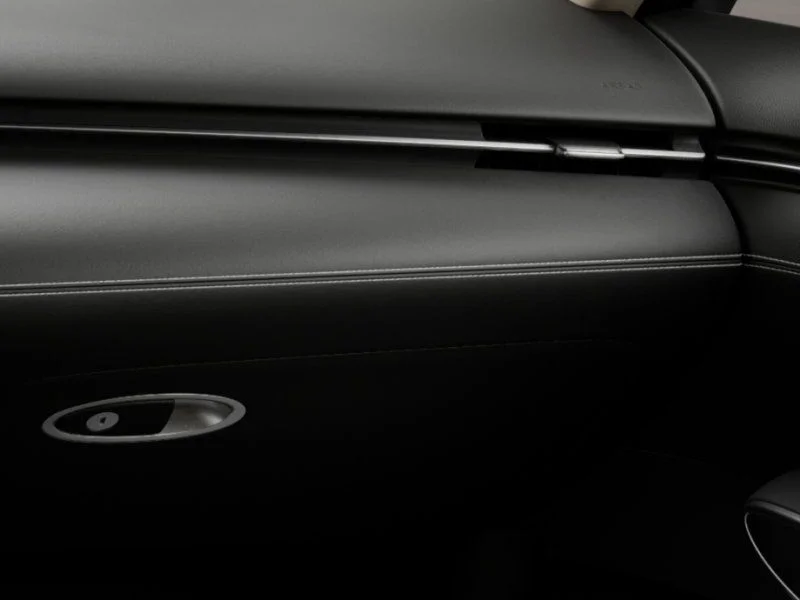New 2026 Vik Black Genesis 2.5T image 25