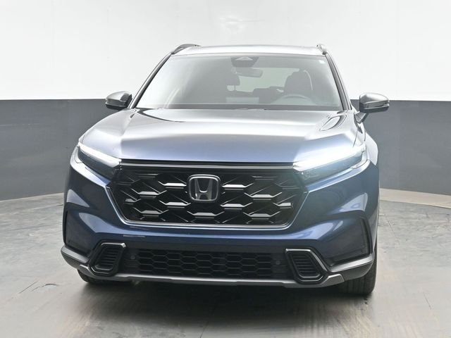 Used 2026 Blue Honda Sport-L image 2