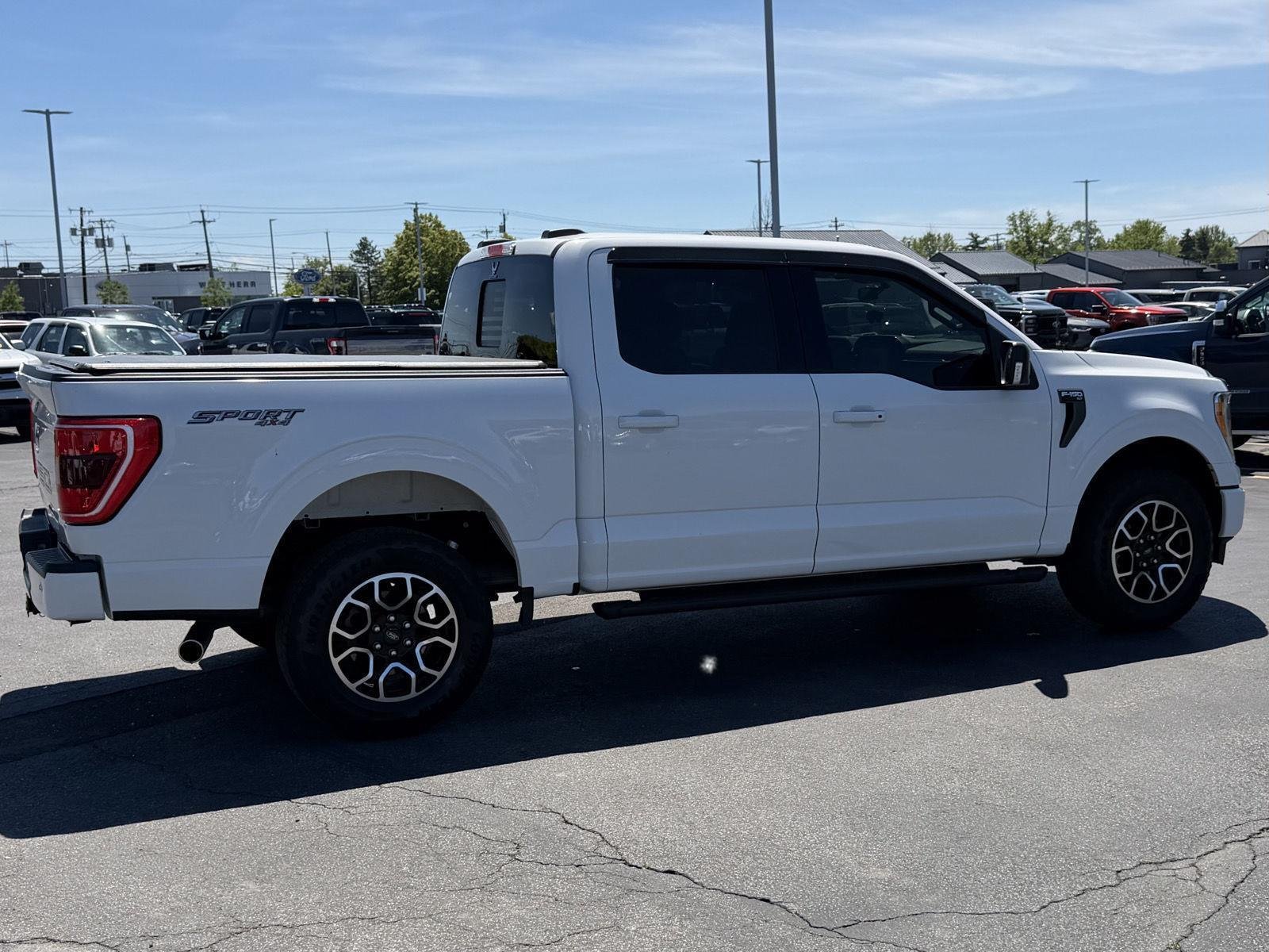 Used 2023 Oxford White Ford XLT image 5