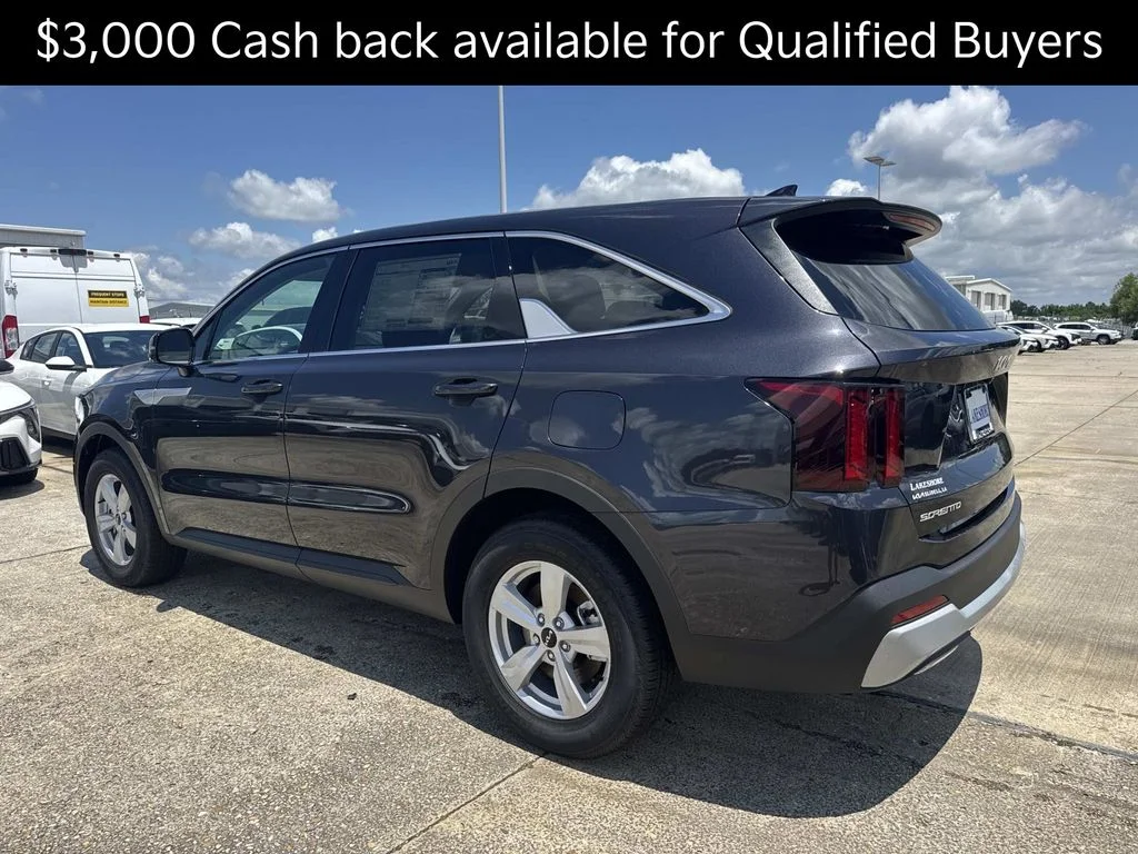 New 2026 Panthera Metal Kia LX image 4