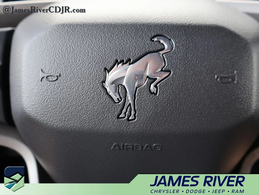Used 2024 Black Ford Wildtrak image 26