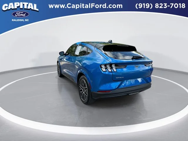 Used 2025 Blue Ford Premium image 6