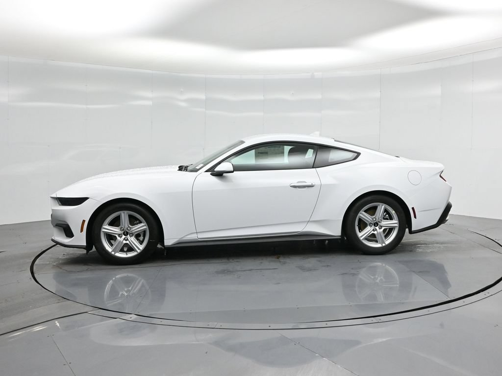 New 2026 White Ford EcoBoost image 24
