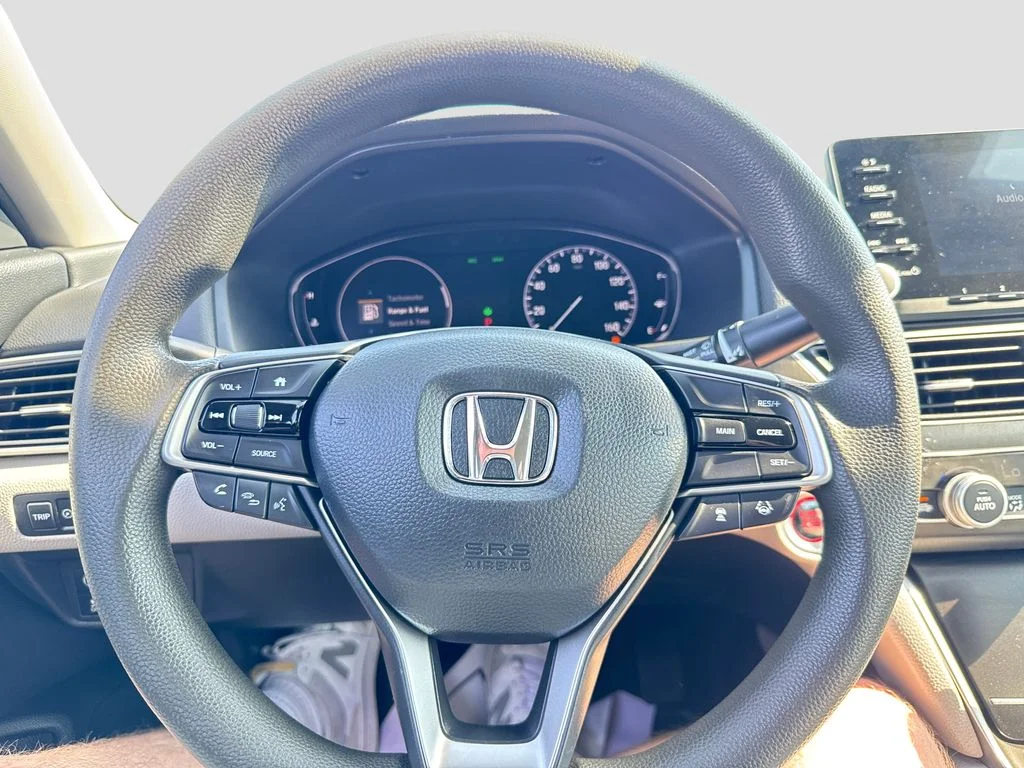 Used 2019 Gray Honda LX image 12