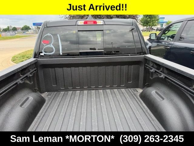 New 2026 Diamond Black Crystal Pearlcoat Ram Big Horn/Lone Star image 20