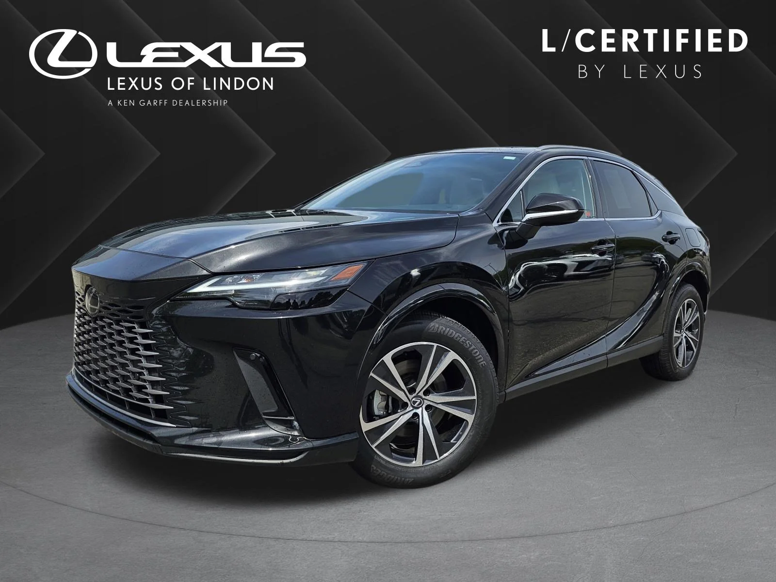 2023 Lexus RX 350h 350h Premium AWD's photo
