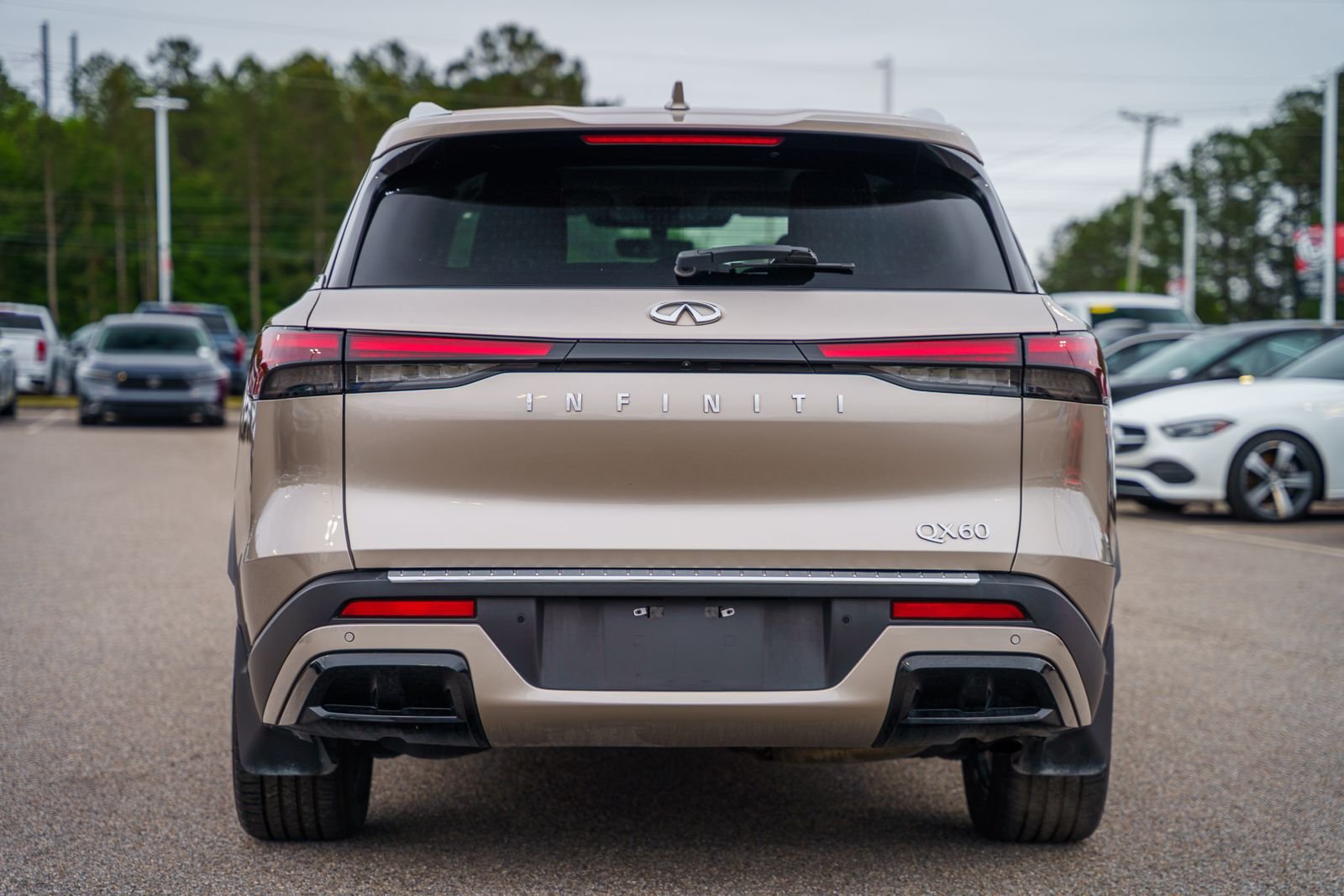 2023 INFINITI QX60 LUXE - Photo 8