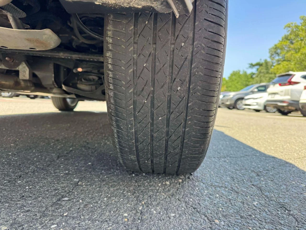 Photo 12