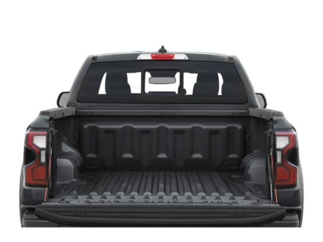 Used 2024 Cactus Gray Ford Raptor image 10