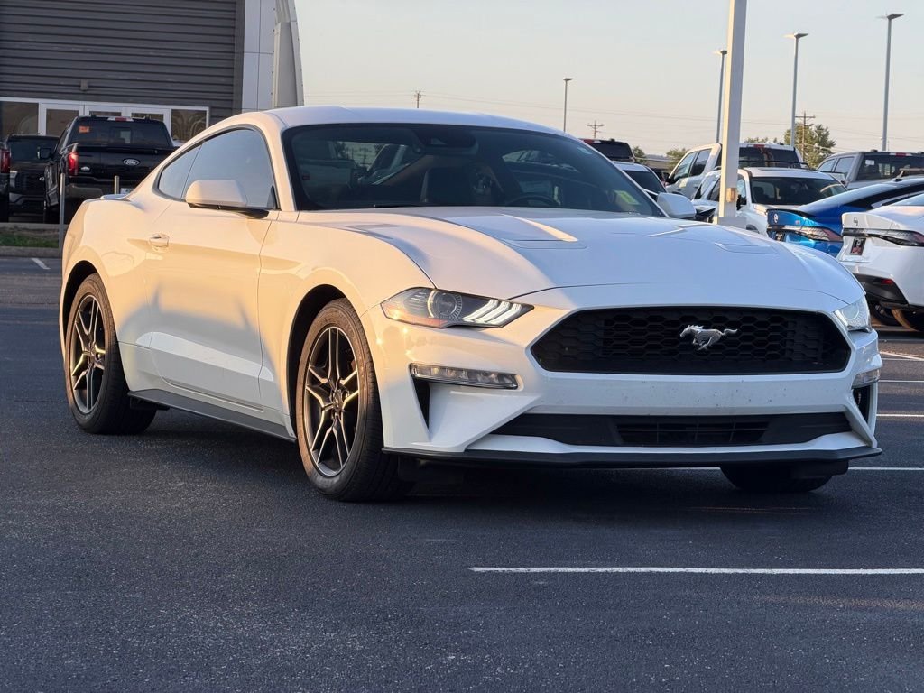 Used 2023 White Ford EcoBoost Premium image 2
