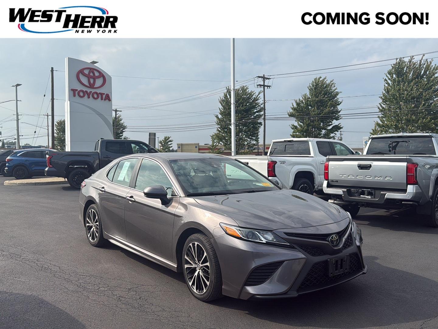 Used 2019 Predawn Gray Mica Toyota SE image 1