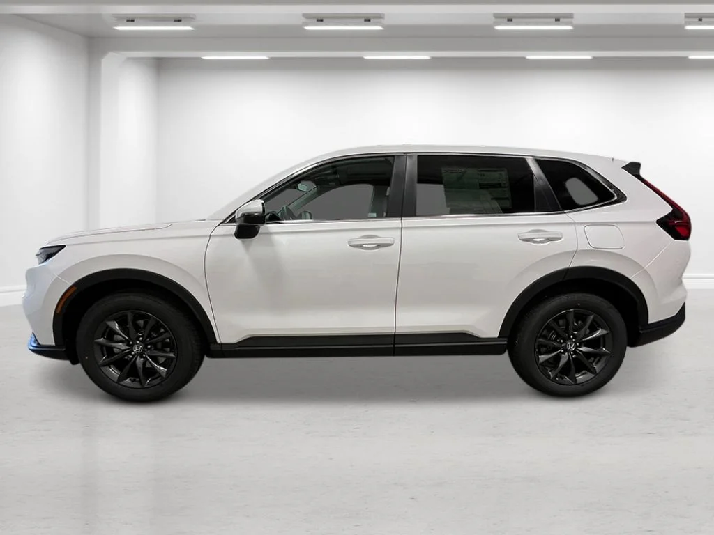 New 2026 Platinum White Pearl Honda EX-L image 2