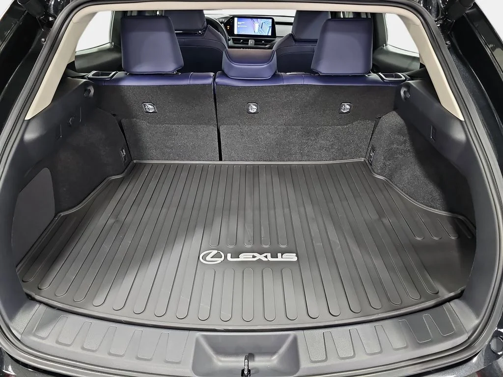 New 2026 Caviar Lexus PREMIUM AWD image 10