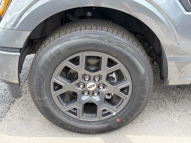 New 2026 Gray Ford STX image 9