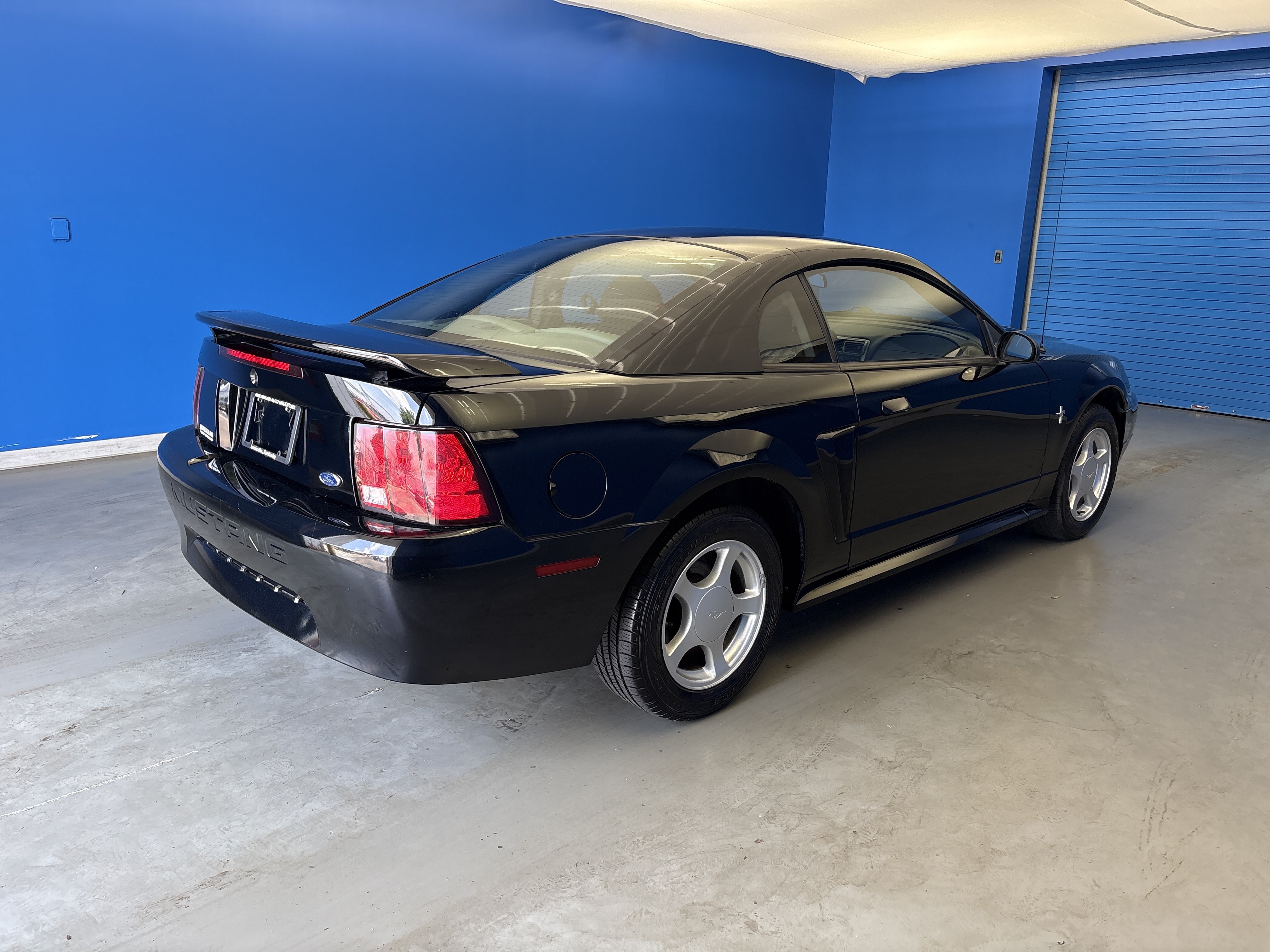 Used 2003 Black Ford Standard image 7