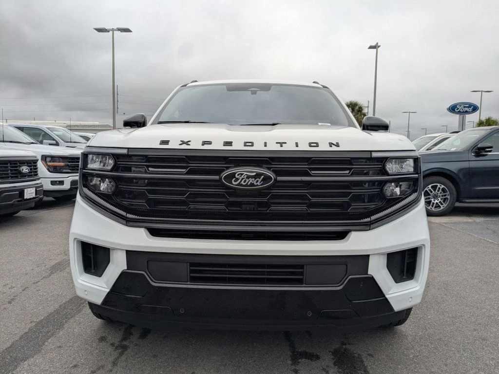 New 2025 White Ford Platinum image 9