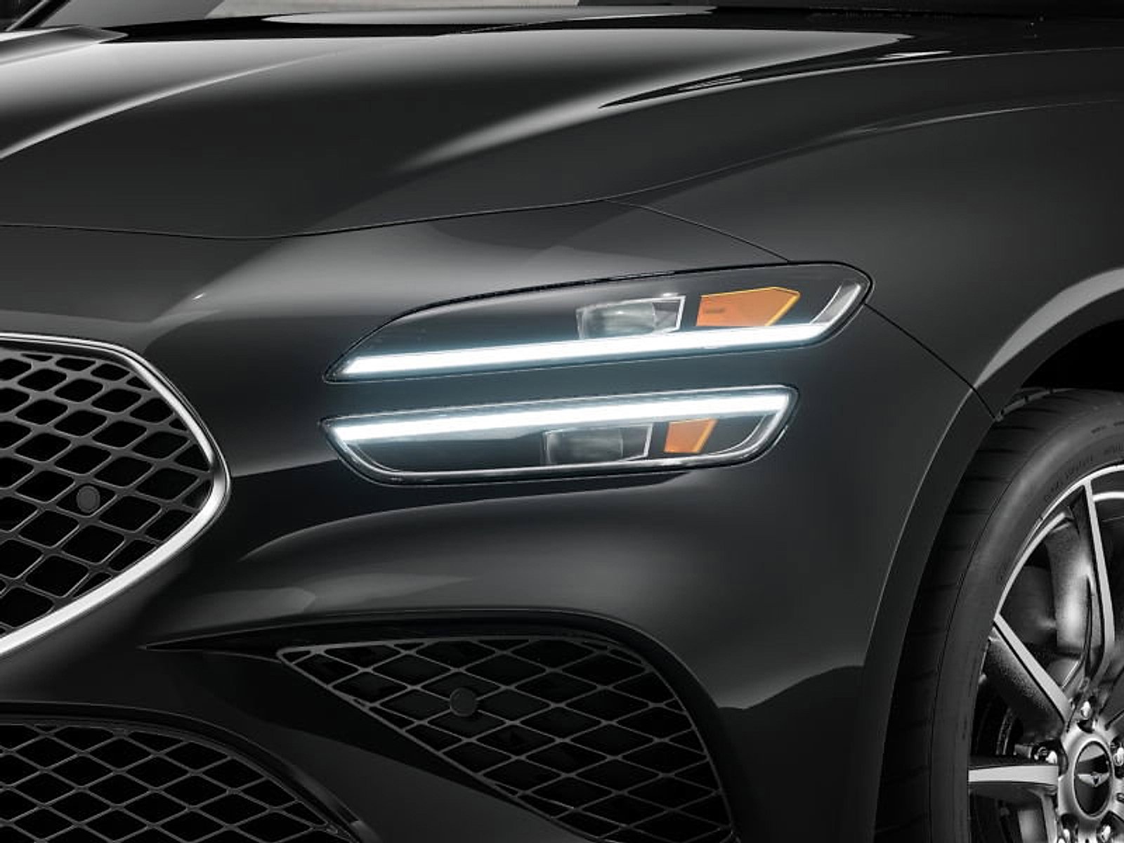 New 2026 Vik Black Genesis 2.5T PRESTIGE image 9