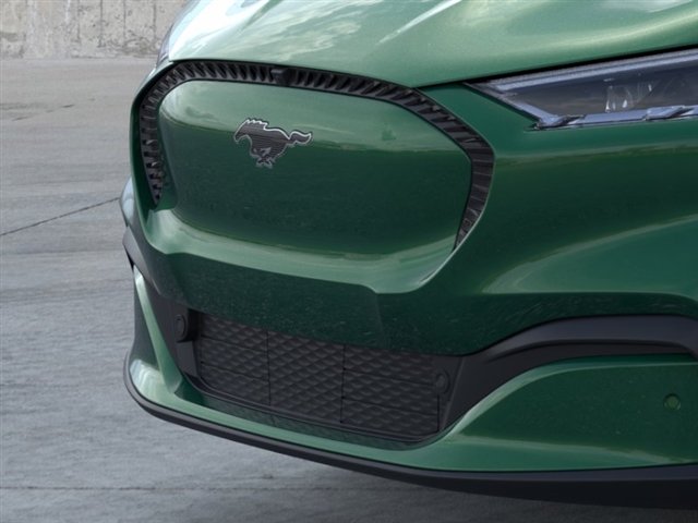 New 2024 Eruption Green Metallic Ford Select image 17