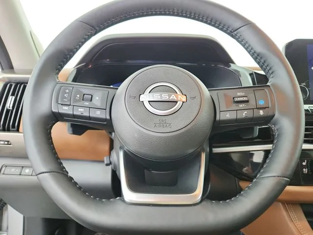 Used 2025 Silver Nissan Platinum image 24