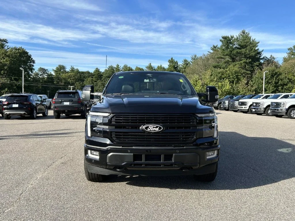 Used 2025 Black Ford Platinum image 8