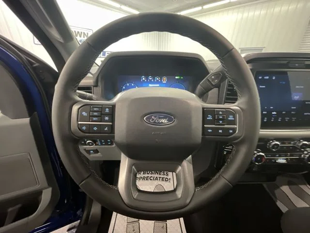 New 2026 Argon Blue Metallic Ford XLT image 14
