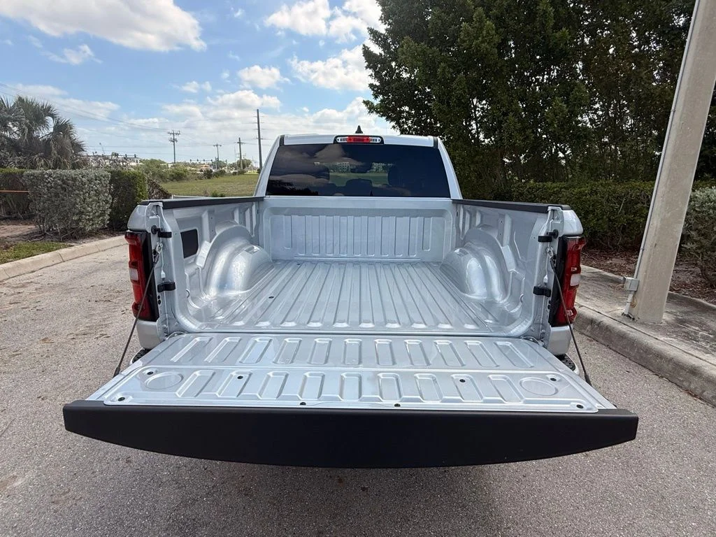 New 2026 Silver Zynith Exterior Paint RAM Big Horn/Lone Star image 39