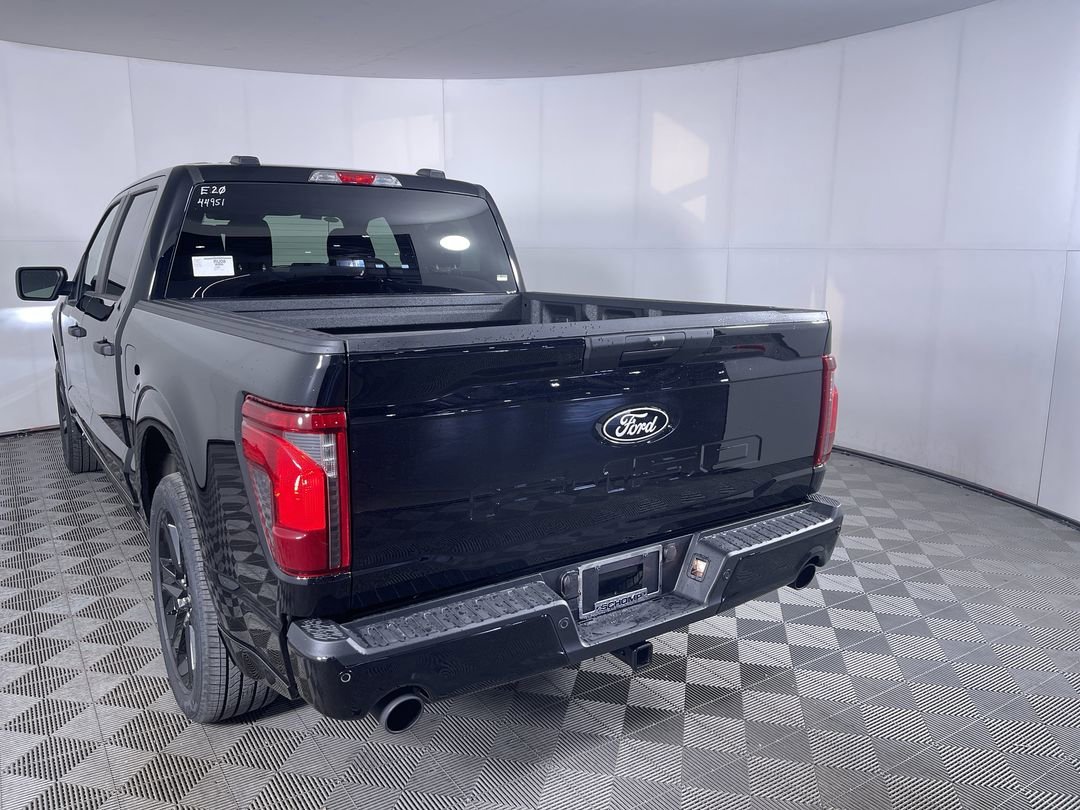 New 2026 Agate Black Metallic Ford STX image 22