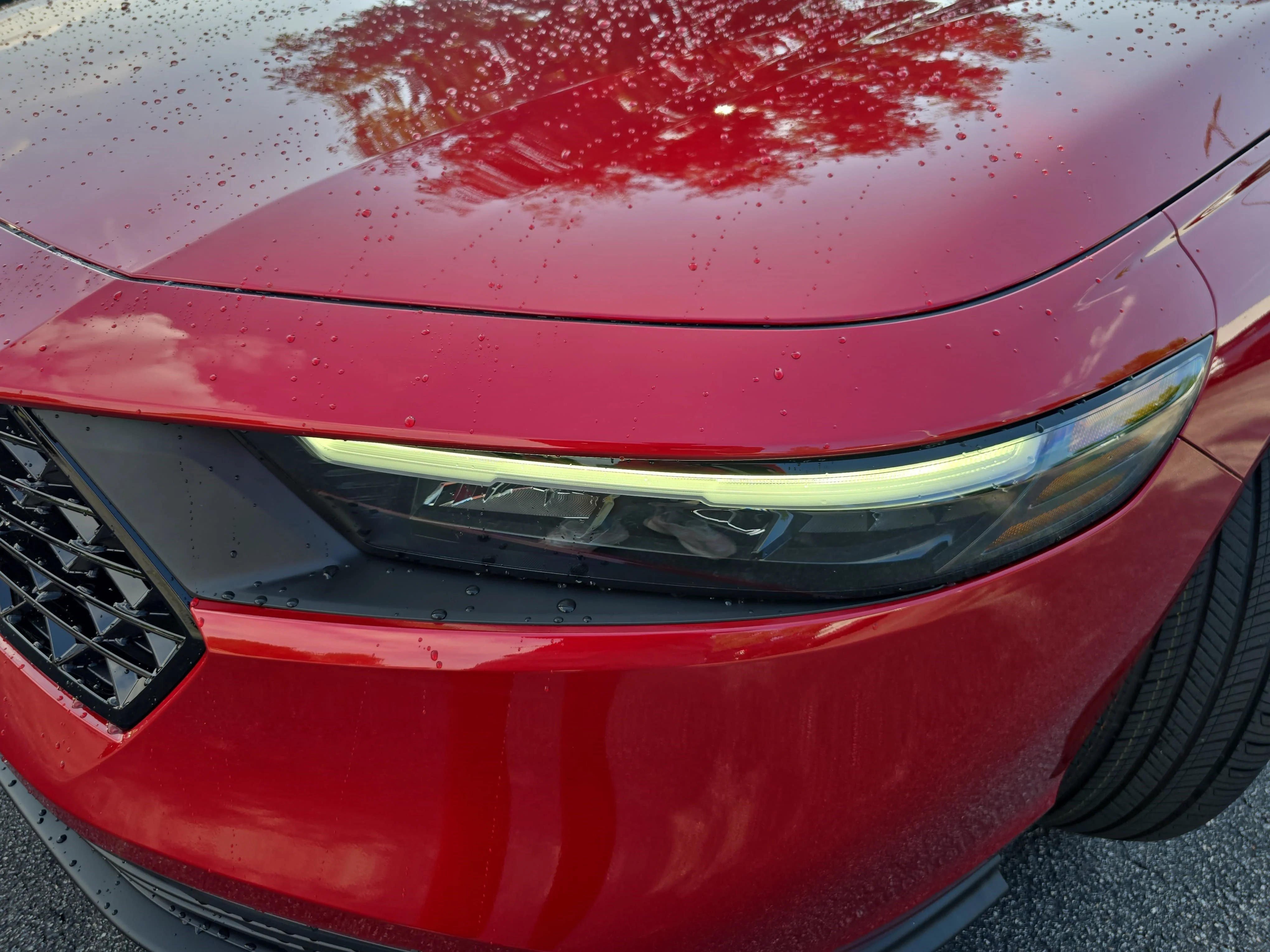 New 2026 Radiant Red Metallic Honda LX image 29