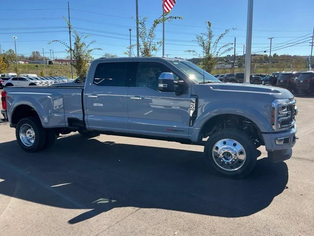 New 2027 Gray Ford Platinum image 13