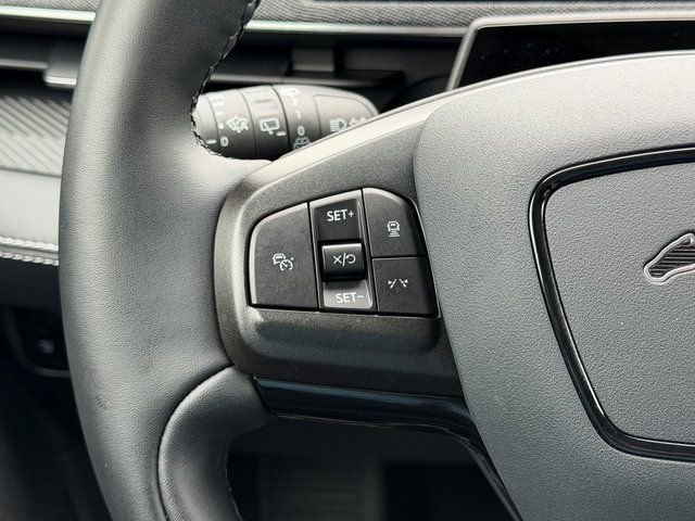 Used 2025 Beige Ford Premium image 15