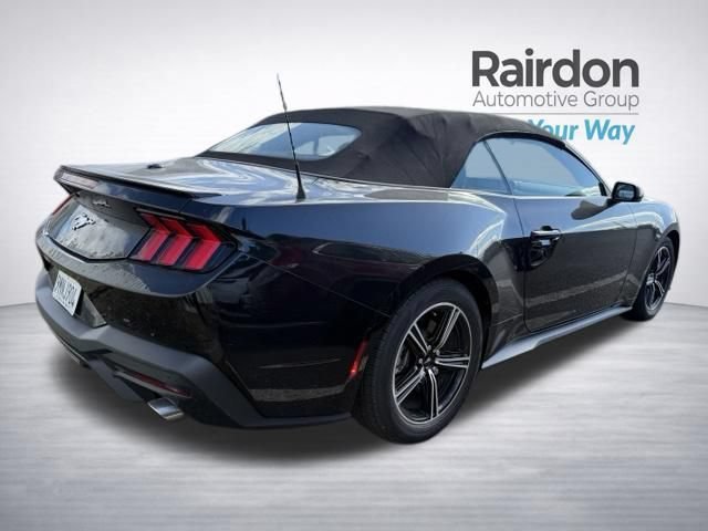 Used 2024 Shadow Black Ford EcoBoost Premium image 12