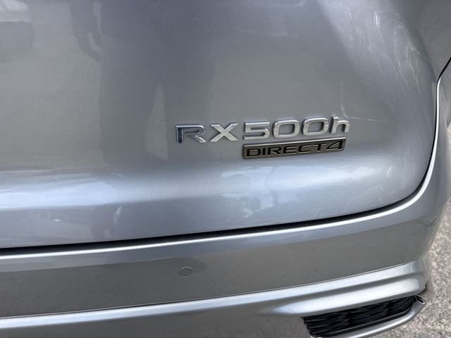 2023 Lexus RX Hybrid 500h - Photo 25