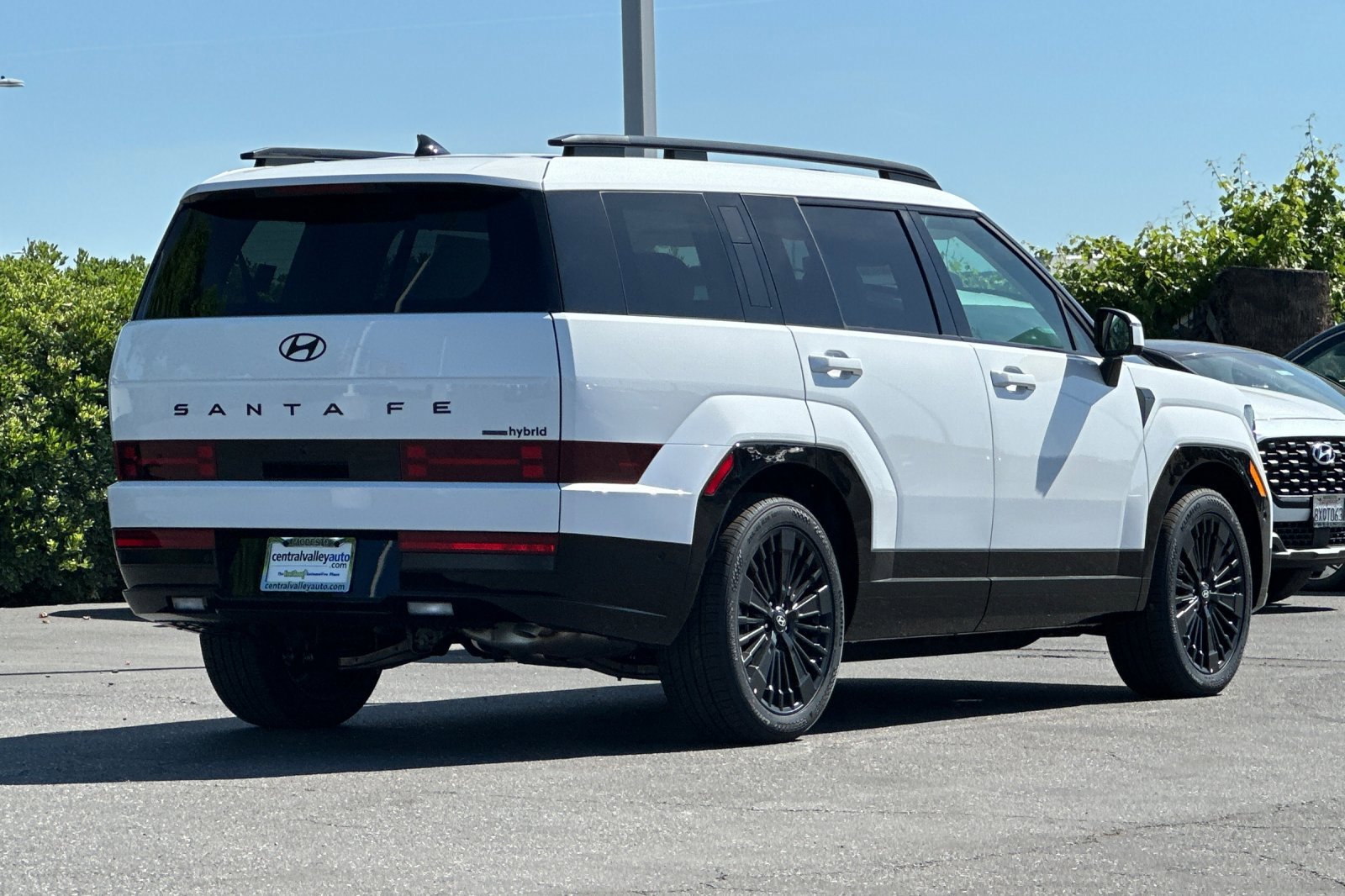 New 2026 Serenity White Hyundai Calligraphy image 34
