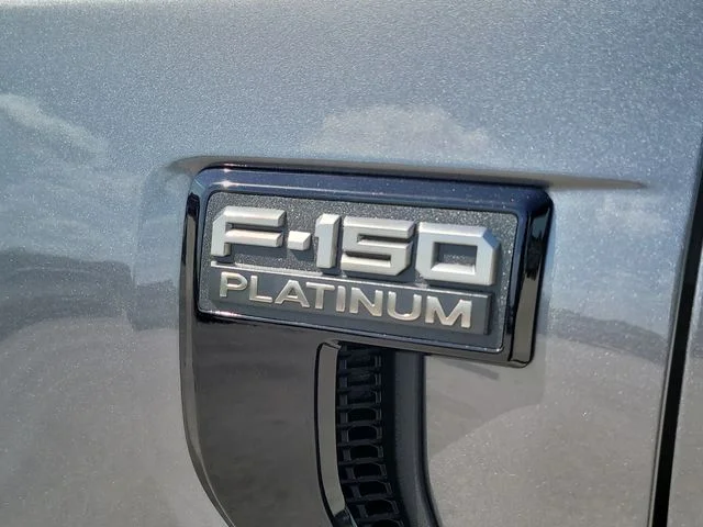 New 2026 Gray Metallic Ford Platinum image 9