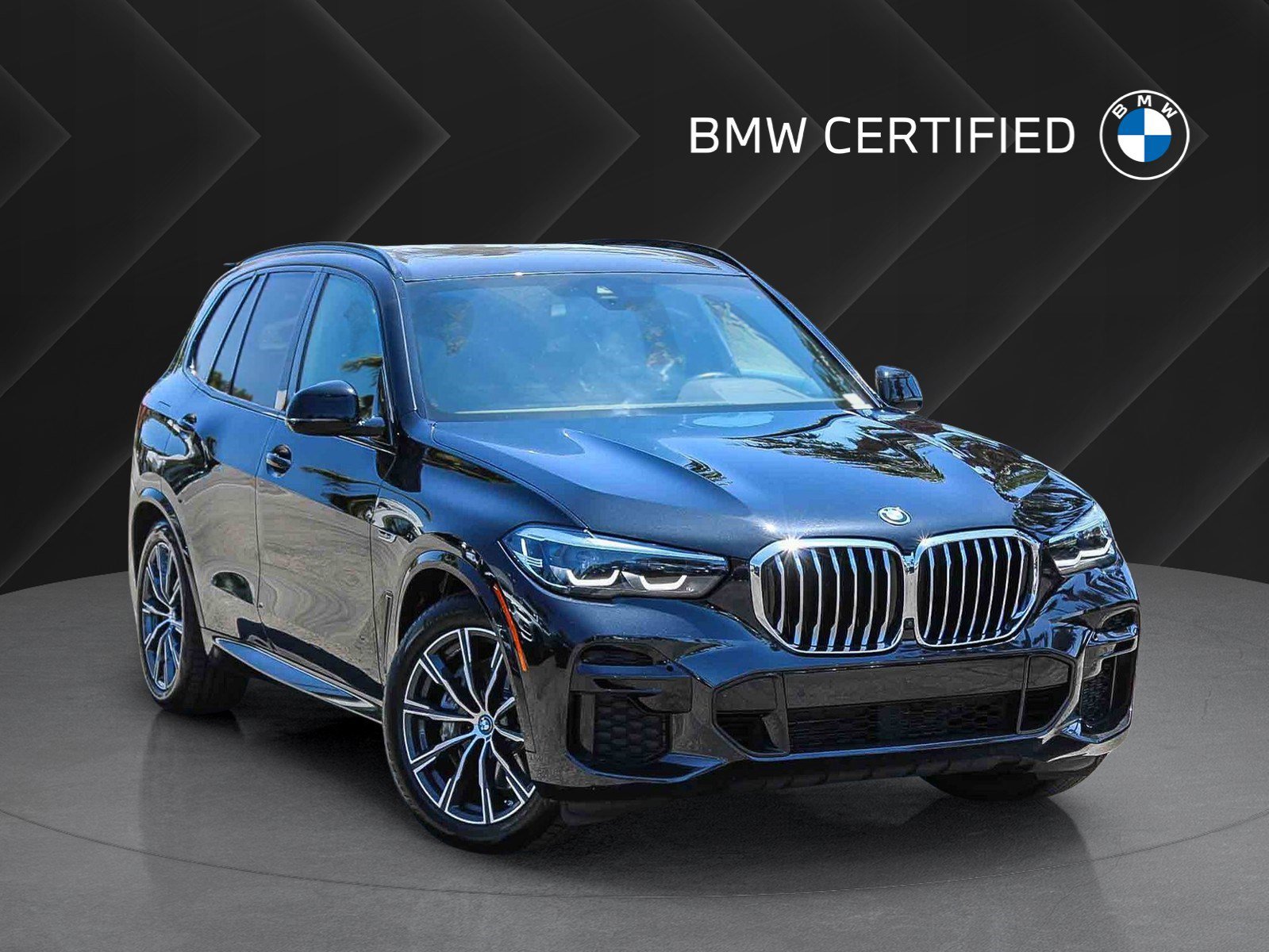 2023 BMW X5 xDrive45e's photo